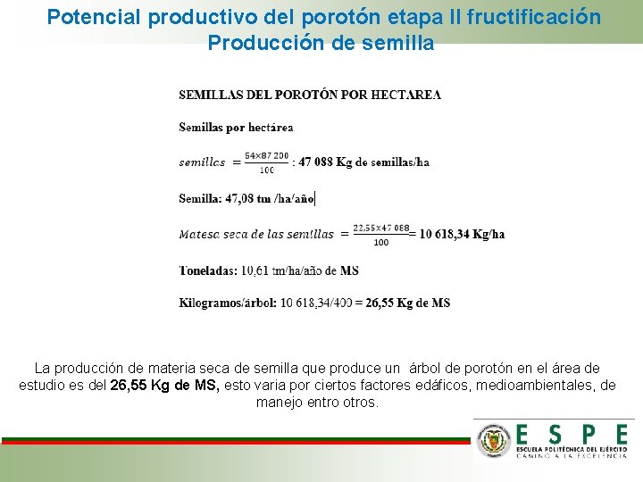  Potencial productivo del porotón etapa II fructificación Producción de semilla La producción de