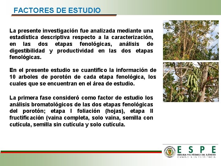 FACTORES DE ESTUDIO La presente investigación fue analizada mediante una estadística descriptiva respecto a FACTORES DE ESTUDIO La presente investigación fue analizada mediante una estadística descriptiva respecto a
