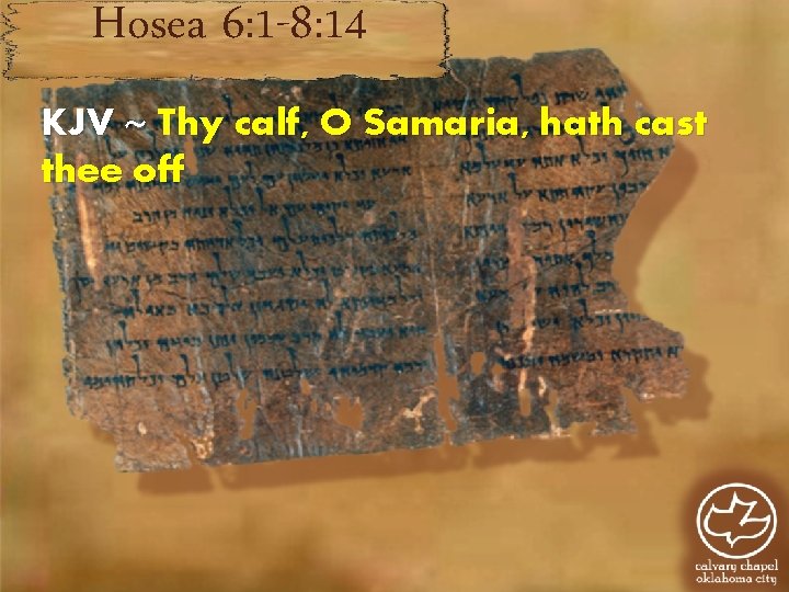 Hosea 6: 1 -8: 14 KJV ~ Thy calf, O Samaria, hath cast thee