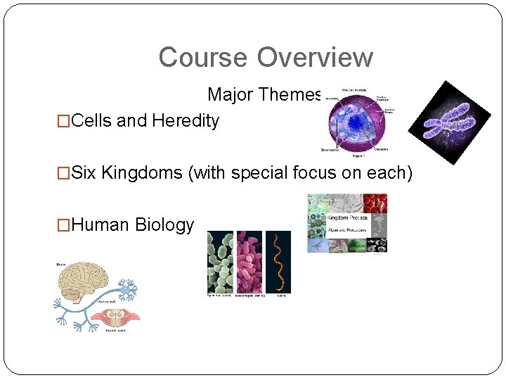 Course Overview Major Themes �Cells and Heredity �Six Kingdoms (with special focus on each)