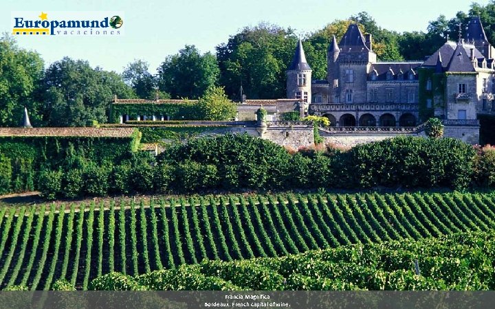 Francia Magnifica Bordeaux: French capital of wine. 