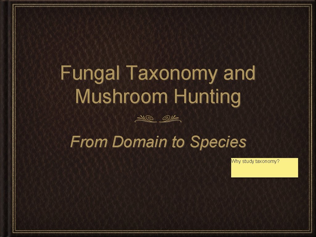 Fungal Taxonomy and Mushroom Hunting From Domain to Species Why study taxonomy? 