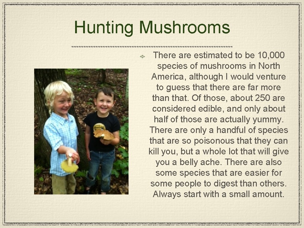 Hunting Mushrooms There are estimated to be 10, 000 species of mushrooms in North