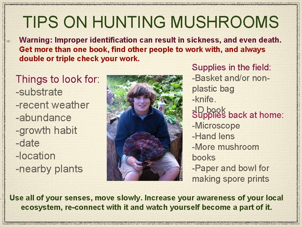 TIPS ON HUNTING MUSHROOMS Warning: Improper identification can result in sickness, and even death.