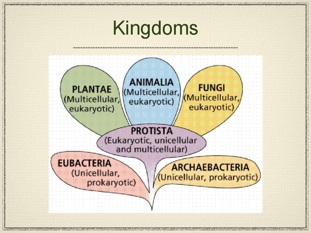 Kingdoms 