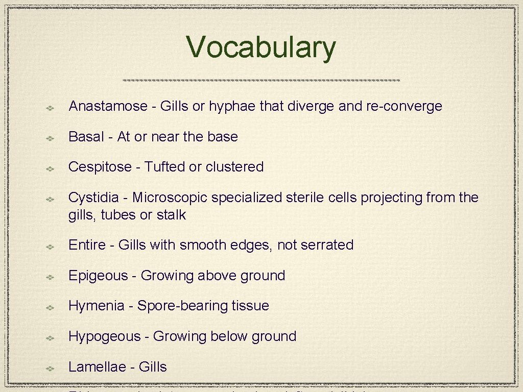 Vocabulary Anastamose - Gills or hyphae that diverge and re-converge Basal - At or