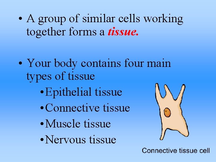  • A group of similar cells working together forms a tissue. • Your