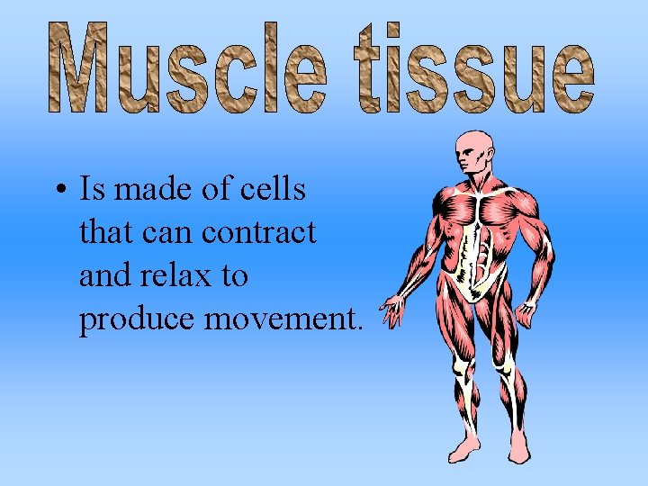  • Is made of cells that can contract and relax to produce movement.