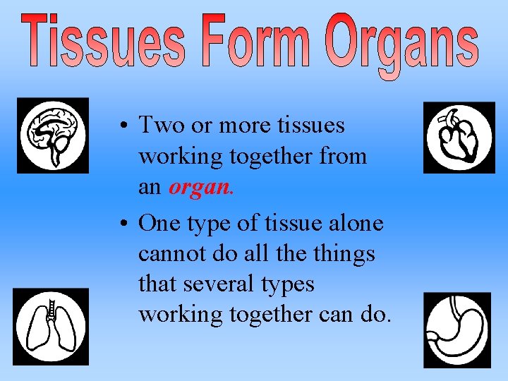  • Two or more tissues working together from an organ. • One type