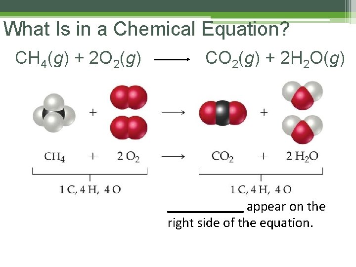 What Is in a Chemical Equation? CH 4(g) + 2 O 2(g) CO 2(g) What Is in a Chemical Equation? CH 4(g) + 2 O 2(g) CO 2(g)