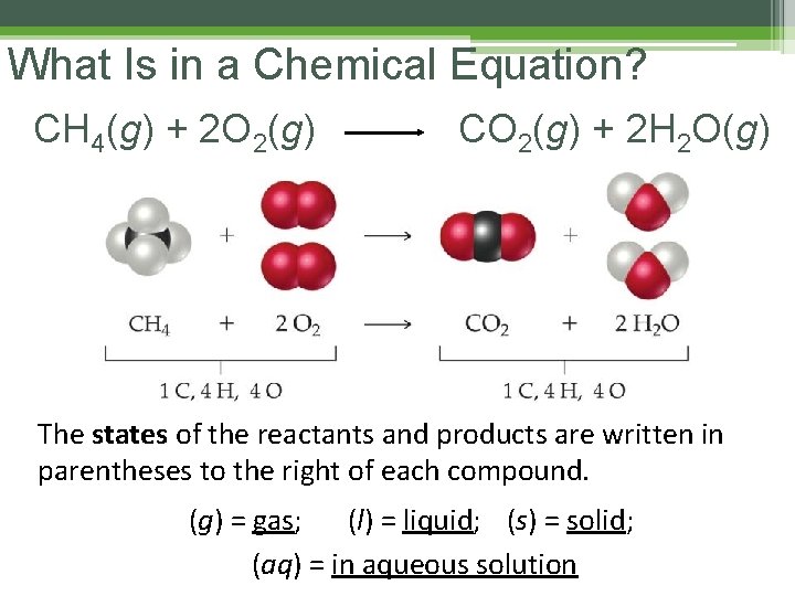 What Is in a Chemical Equation? CH 4(g) + 2 O 2(g) CO 2(g) What Is in a Chemical Equation? CH 4(g) + 2 O 2(g) CO 2(g)
