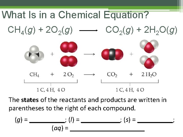What Is in a Chemical Equation? CH 4(g) + 2 O 2(g) CO 2(g) What Is in a Chemical Equation? CH 4(g) + 2 O 2(g) CO 2(g)