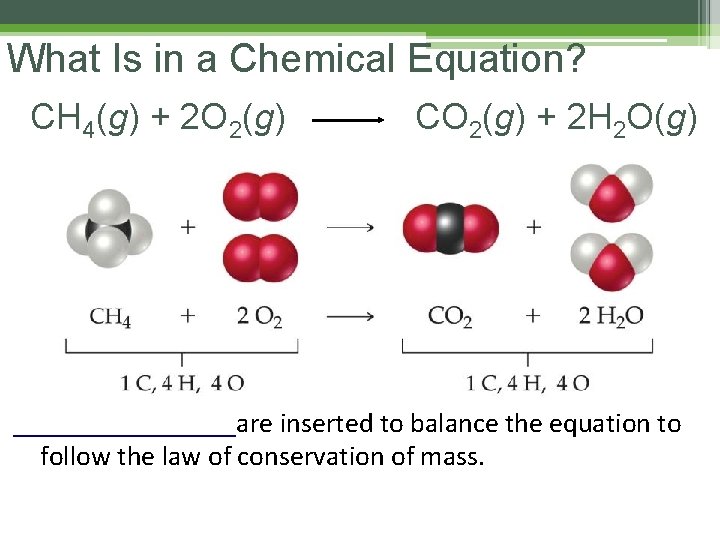 What Is in a Chemical Equation? CH 4(g) + 2 O 2(g) CO 2(g) What Is in a Chemical Equation? CH 4(g) + 2 O 2(g) CO 2(g)