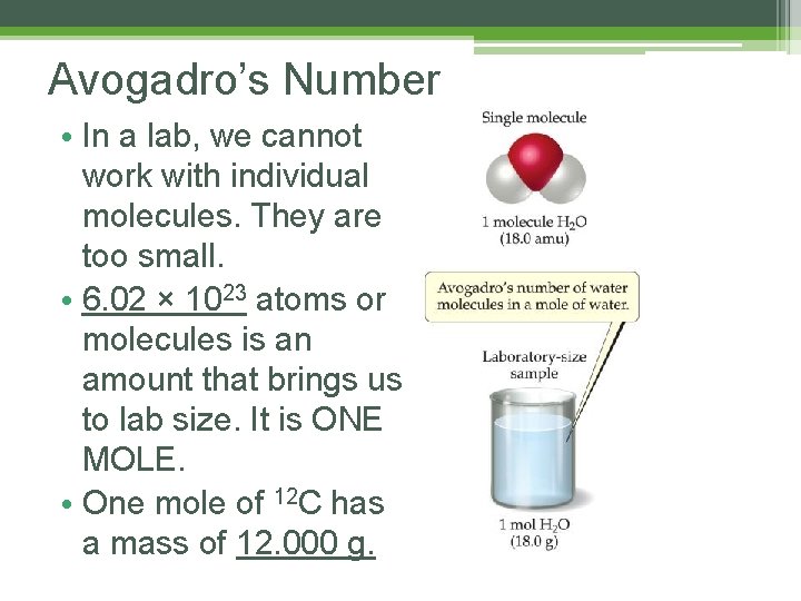 Avogadro’s Number • In a lab, we cannot work with individual molecules. They are Avogadro’s Number • In a lab, we cannot work with individual molecules. They are