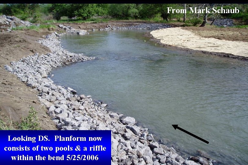From Mark Schaub Looking DS. Planform now consists of two pools & a riffle