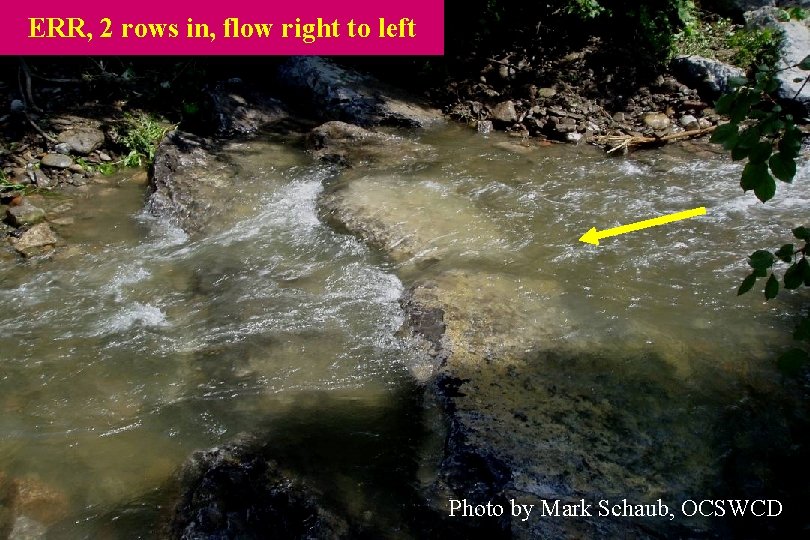 ERR, 2 rows in, flow right to left Photo by Mark Schaub, OCSWCD 