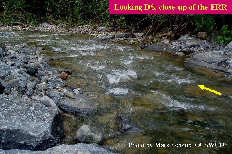 Looking DS, close-up of the ERR Photo by Mark Schaub, OCSWCD 