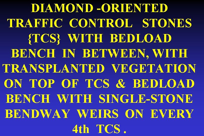 DIAMOND -ORIENTED TRAFFIC CONTROL STONES {TCS} WITH BEDLOAD BENCH IN BETWEEN, WITH TRANSPLANTED VEGETATION