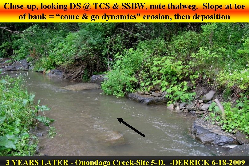 Close-up, looking DS @ TCS & SSBW, note thalweg. Slope at toe of bank