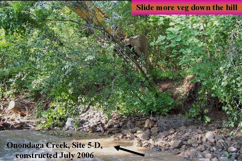 Slide more veg down the hill Onondaga Creek, Site 5 -D, constructed July 2006