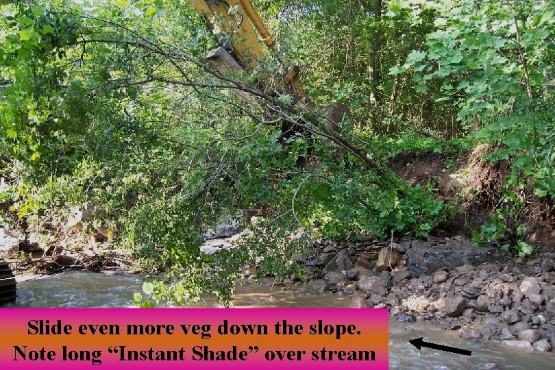 Slide even more veg down the slope. Note long “Instant Shade” over stream 