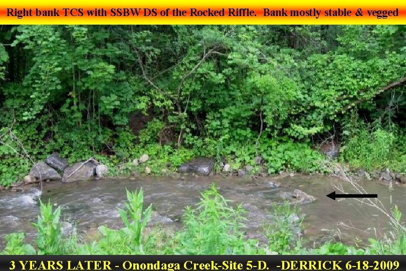 Right bank TCS with SSBW DS of the Rocked Riffle. Bank mostly stable &