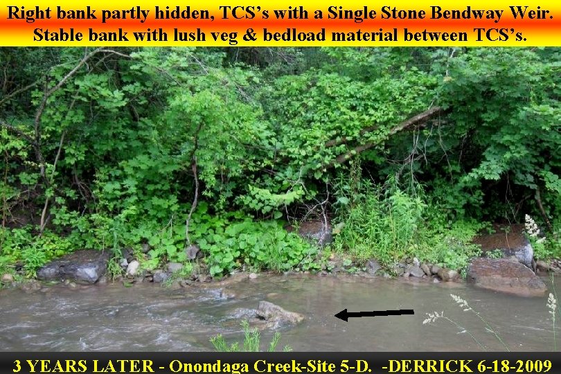 Right bank partly hidden, TCS’s with a Single Stone Bendway Weir. Stable bank with