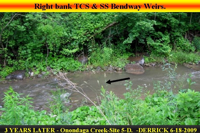 Right bank TCS & SS Bendway Weirs. 3 YEARS LATER - Onondaga Creek-Site 5