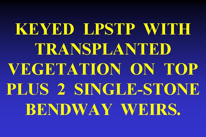 KEYED LPSTP WITH TRANSPLANTED VEGETATION ON TOP PLUS 2 SINGLE-STONE BENDWAY WEIRS. 