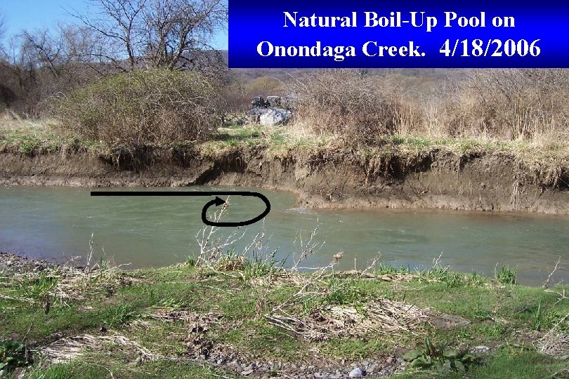 Natural Boil-Up Pool on Onondaga Creek. 4/18/2006 