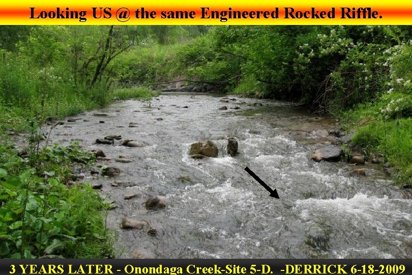Looking US @ the same Engineered Rocked Riffle. 3 YEARS LATER - Onondaga Creek-Site