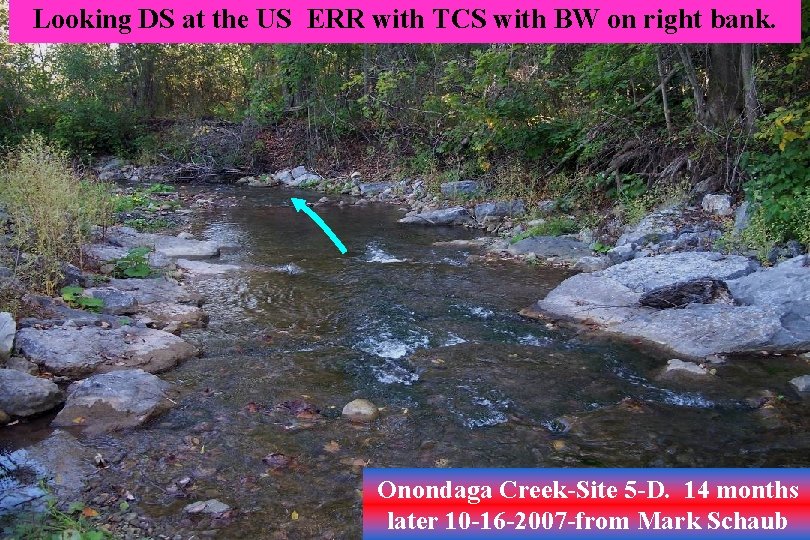 Looking DS at the US ERR with TCS with BW on right bank. Onondaga