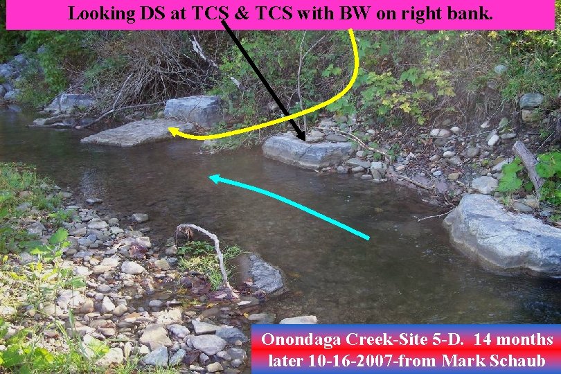 Looking DS at TCS & TCS with BW on right bank. Onondaga Creek-Site 5