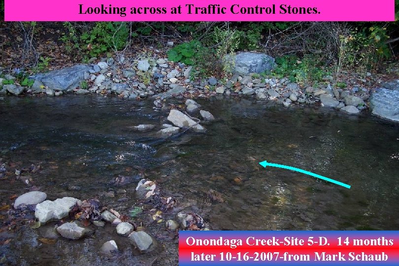 Looking across at Traffic Control Stones. Onondaga Creek-Site 5 -D. 14 months later 10