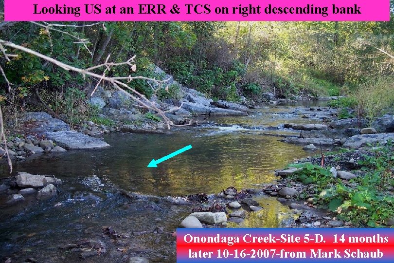 Looking US at an ERR & TCS on right descending bank Onondaga Creek-Site 5