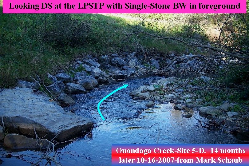 Looking DS at the LPSTP with Single-Stone BW in foreground Onondaga Creek-Site 5 -D.