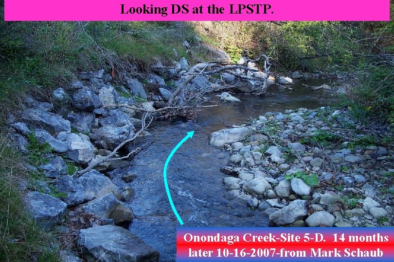 Looking DS at the LPSTP. Onondaga Creek-Site 5 -D. 14 months later 10 -16