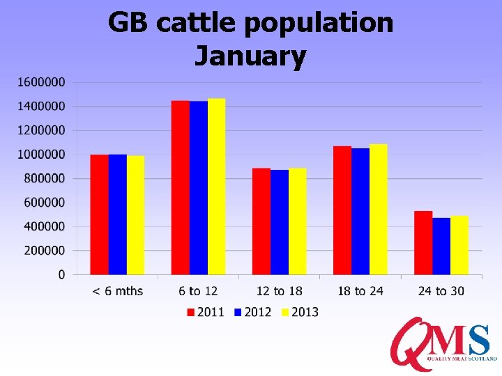 GB cattle population January 