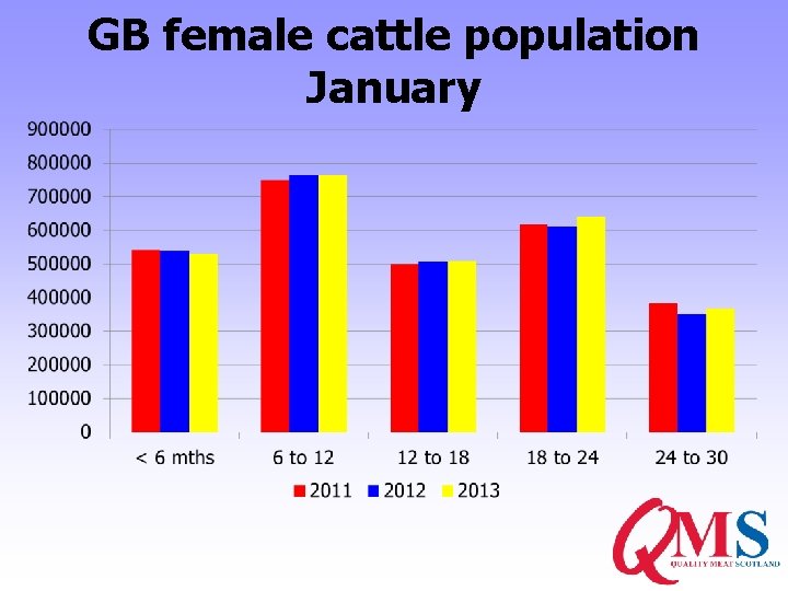 GB female cattle population January 