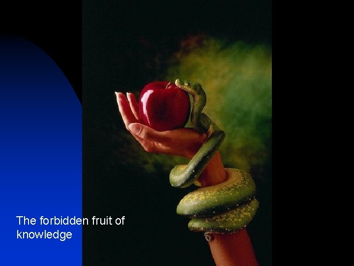 The forbidden fruit of knowledge 