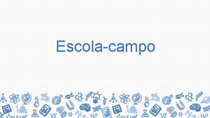 Escola-campo 