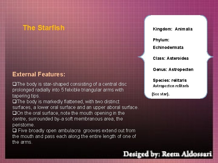 The Starfish Kingdom: Animalia Phylum: Echinodermata Class: Asteroidea External Features: q. The body is