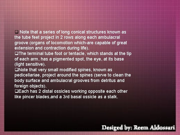 q Note that a series of long conical structures known as the tube feet