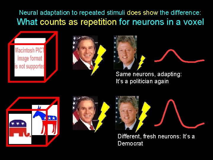 Neural adaptation to repeated stimuli does show the difference: What counts as repetition for