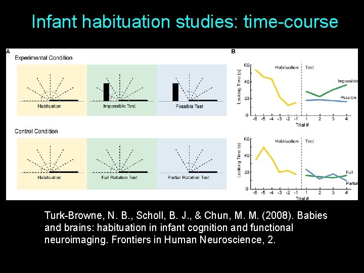 Infant habituation studies: time-course Turk-Browne, N. B. , Scholl, B. J. , & Chun,