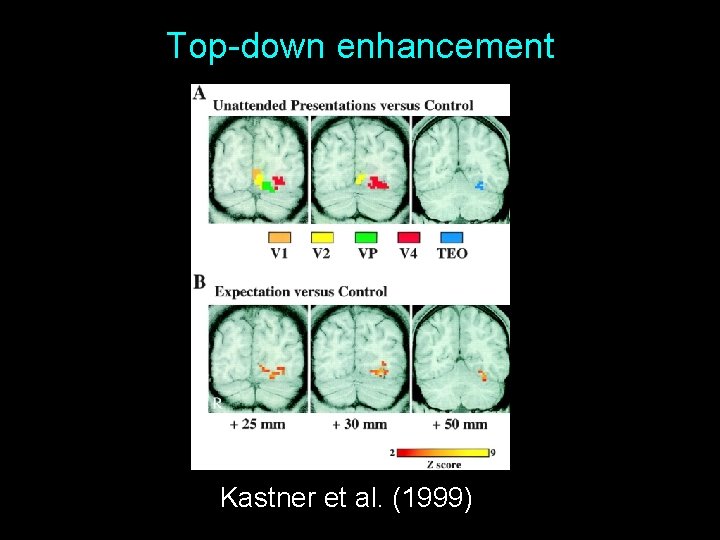 Top-down enhancement Kastner et al. (1999) 6 
