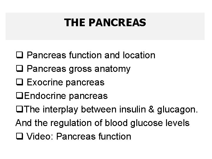 THE PANCREAS q Pancreas function and location q Pancreas gross anatomy q Exocrine pancreas