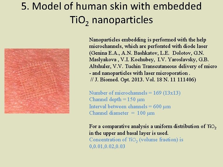 5. Model of human skin with embedded Ti. O 2 nanoparticles Nanoparticles embedding is