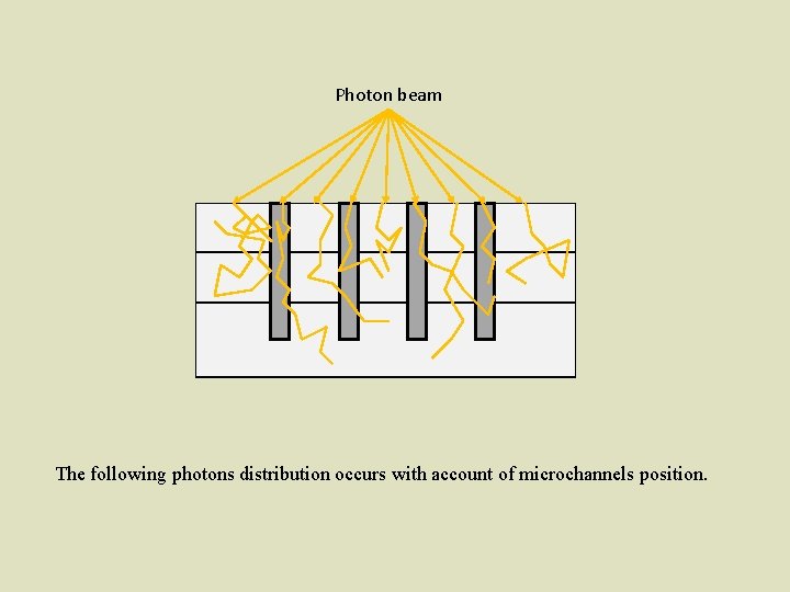 Photon beam The following photons distribution occurs with account of microchannels position. 
