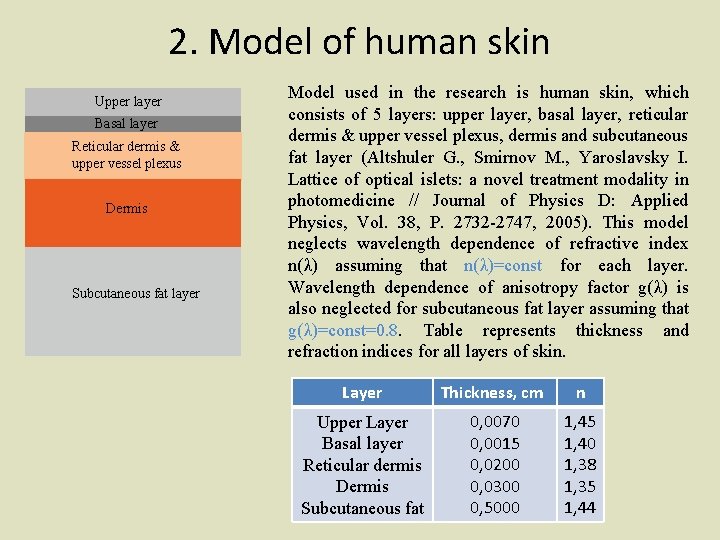 2. Model of human skin Upper layer Basal layer Reticular dermis & upper vessel